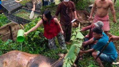 Jelang Idul Adha 1447 H, Influencer Sultra Jodha Lasiawa Buktikan Kepedulian Lewat Aksi Nyata!