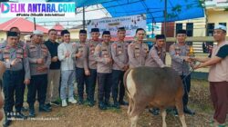 Polres Konawe Sembelih 14 Hewan Kurban di Idul Adha 1447 H: Dua Ekor Bantuan Kapolri, Satu untuk Insan Pers