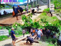 Urat Nadi Konawe-Koltim Lumpuh! Pondasi Jembatan Ambekairi Ambruk, Kapolres Noer Alam Turunkan Personel Bikin Jembatan Kelapa