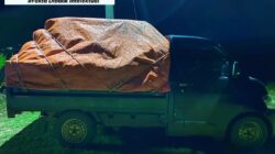 Satreskrim Polres Konawe Gagalkan Penyelundupan 258 Tabung LPG 3Kg Subsidi di Inalahi Wawotobi, Mobil Grand Max Diamankan!