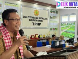 3 TAHUN PANEN! Kadis TPHP Konawe Dahlan: Bibit Durian Musangking & Duri Hitam Siap Dongkrak Ekonomi Warga