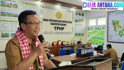 3 TAHUN PANEN! Kadis TPHP Konawe Dahlan: Bibit Durian Musangking & Duri Hitam Siap Dongkrak Ekonomi Warga