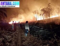 Sinergi Polres Konawe di Bawah Komando AKBP Edi Raharjono: Kapolsek Routa Pimpin Pemadaman 30 Hektare, 3 Kantor Pemerintah Berhasil Diselamatkan