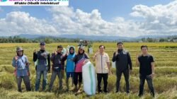 BREAKING: BULOG Cetak Sejarah! Pengadaan Beras Tembus 4,1 Juta Ton Tertinggi Sepanjang Sejarah – Lampaui Rekor 2012