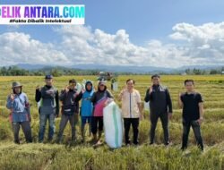 BREAKING: BULOG Cetak Sejarah! Pengadaan Beras Tembus 4,1 Juta Ton Tertinggi Sepanjang Sejarah – Lampaui Rekor 2012
